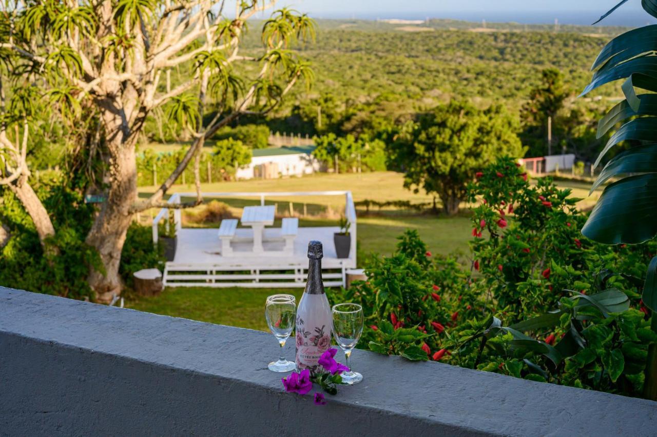 302 On Old Sea View Road Chelsea Lägenhet Port Elizabeth Exteriör bild